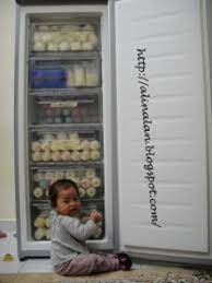 #5 cara menyediakan susu ibu yang telah sejuk. 10 Soalan Lazim Tentang Cara Penyimpanan Susu Perahan Anda