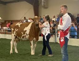 Fair presenters reap rewards at auction