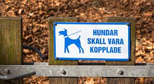 Eldningsförbud innebär att det är förbjudet med all form av eldning i skog och mark. Stangsel Och Skyltar Naturvardsverket