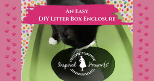 Up until this point i had never owned a cat and honestly wasn't a big fan. Diy Low Track Cat Litter Box