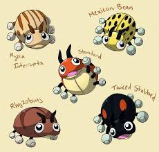 Pokemonsubspecies Ledyba By Coolpikachu29 On Deviantart