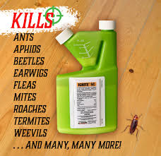 There is no need to call a professional exterminator to help you kill or control every single bug or insect you see running around the house. Diy Pest And Lawn Home Facebook