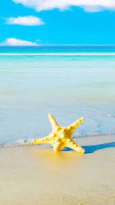 Starfish Beach Hd Wallpaper Check More At Https Phonewallp Com Starfish Beach Hd Wallpaper Beach Wallpaper Hd Wallpaper Iphone Wallpaper