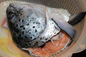 Check spelling or type a new query. Salmon Head On Sale How To Clean Cook Salmon Head Karen Mnl