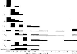 The differences between the second and