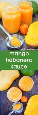 Habanero hot sauce of choice. Mango Habanero Sauce Caroline S Cooking
