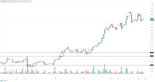 January 2021 should, according to some, see further declines. Bitcoin Price Prediction Btc Investors Increase Their Bets To 30 000 By January 2021