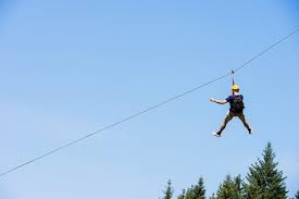 Build the perfect adventure in your backyard. New Focus On Zipline Related Injuries Deaths