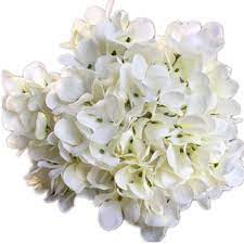 We did not find results for: 10pcs Artificial Hydrangea Flower Heads Fake Big Hydrangea Flower Head White Blue Pink Purple Green Color For Flower Wall Decor Artificial Dried Flowers Aliexpress