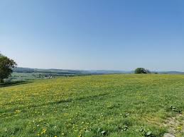 Consider booking refundable hotels rather than. Comblain La Tour Hoyemont Et Oneux Liege Belgium Alltrails