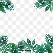 Palm leaf · free pngs, stickers, photos, aesthetic backgrounds and wallpapers, vector illustrations and art. Hand Painted Watercolor Fresh Tropical Plant Border Plant Clipart Element Summer Png Transparent Clipart Image And Psd File For Free Download Watercolour Texture Background Watercolor Plants Pink Palm Trees Aesthetic