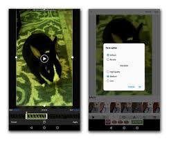 Make gifs from youtube, vimeo, and many other video websites. Turning Phone Videos Into Gifs The New York Times