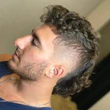 21 Cool Mullet Hairstyles Modern Short Long Mullet Haircuts 2019 Mullet Haircut Mullet Hairstyle Curly Hair Men