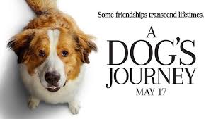 Az egy kutya négy útja a nagy sikerű egy kutya négy élete című film folytatása, amelyben bailey, a világ legkedvesebb kutyája végre megtalálja az. Port Videa Egy Kutya Negy Utja 2019 Hd Teljes Film Magyarul Junius Filmek