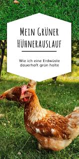 Wie Kann Ich Den Huhnerauslauf Begrunen Und Dauerhaft Grun Halten Huhnerauslauf Huhner Auslauf Huhner Futter