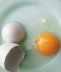 Roughly speaking, small songbirds take between 10 days and 2 weeks to hatch and the same amount to fledge. Are My Chicken Eggs Fertile Fresh Eggs Daily