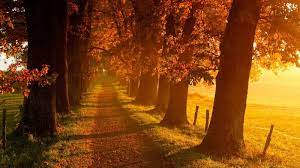 Find the best screensavers and wallpaper autumn scene on getwallpapers. Peaceful Autumn Scene Wallpapers Wallpaper Cave