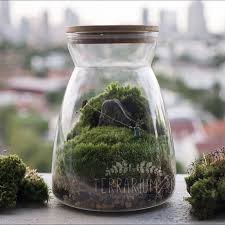 Moss Terrarium Life Is Like Flying A Kite Terrarium Miniature Garden Moss Terrarium