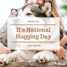 April 10th is national hug your dog day! 94 Hound Quotes Ideas In 2021 Hound Dogs Dog Quotes Funny