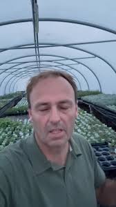 Herbs Galore available free delivery over £35 offer ends Monday