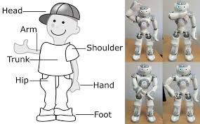 Free muscular system cliparts, download free clip art. The Robot Shows The Human Body Parts Head Shoulder Hand Hip Download Scientific Diagram