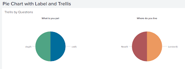 Adding Labels To Pie Charts In Trellis Mode Question