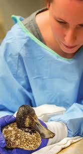 Annual Report for 2020