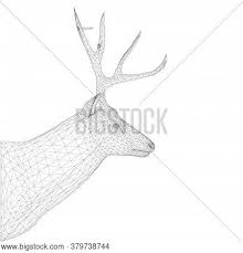 How to draw a deer draw step by step. Deer Head Frame Large Vector Photo Free Trial Bigstock