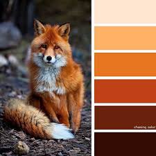 Instagram Photo By Kaite Chase Chasing Color Jun 26 2016 At 8 10am Utc Red Colour Palette Paint Color Schemes Orange Palette