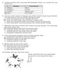 Soal Ipa Usbn Kls 6 Jawabanku Id