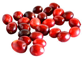 Download Cranberry Png Image For Free Stevens cranberry bushes pump out large cranberries every year during mid fall, so you will have an abundance of fresh berries just in time for the holiday season. download cranberry png image for free
