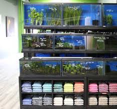 Saltwater fish voucher code : Home