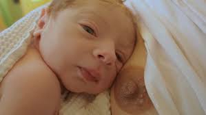 Nel mondo, di Danilo Monte. La recensione