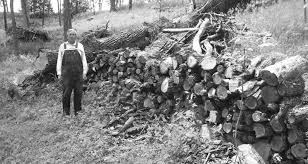 Council settles with Kotter