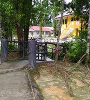 It releases your body of. La Hot Springs Kuala Besut Aktuelle 2021 Lohnt Es Sich Mit Fotos