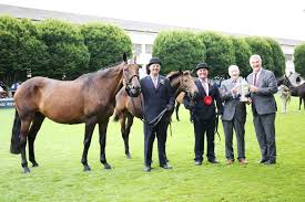 DUBLIN HORSE SHOW 2022: Parkmore Evita bows out