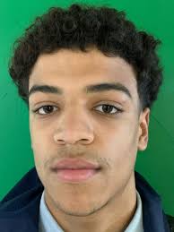 2021 Central Illinois High School Sports Awards: Boys basketball