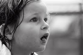 Kurt Knapp Photography