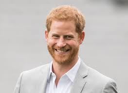 Wildlife campaigners hope harry will shed light on the killing of two of britain's rarest birds over sandringham in. Prince Harry Pulled A Meghan Markle And Booked A Tv Gig Glamour