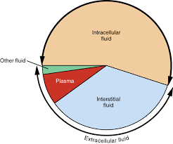 34 genuine water distribution pie chart