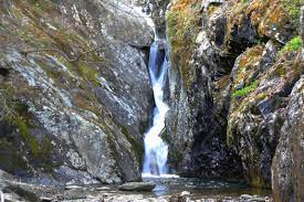 White Oak Canyon Falls Trail Map Whiteoak Canyon – Cedar Run Trail Loop (Shenandoah National Park, Va) |  Live And Let Hike