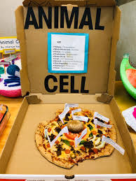 We did not find results for: Cleteus Smith Ø¹Ù„Ù‰ ØªÙˆÙŠØªØ± Many Of Our 5th Grade Animal Cell Projects Nrflkcollegiate Are Good Enough To Eat Simply Outstanding Mitochondria Edchat Nucleus Vachat Cytoplasm Science Https T Co S9xgkmhwif
