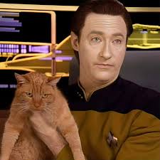 The spanners mentioned in a song🫢 Also happy Spotify wrapped day guys!