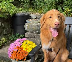 Photo posted by Tiffani Thompson (@_lady_jewel_82)