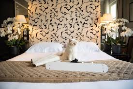 2 bedroom apartments in the hammocks are an excellent choice for roommates, a small family, or anyone who needs more space. Choupette The Cat Collaborates With Lucybalu On Swing Pet Bed