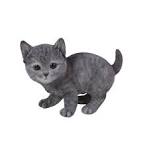 Russian Blue Kittens For Sale - Silver Blues Cattery