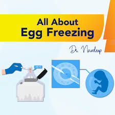 Yang mau apk mod ya bisa koment. All About Egg Freezing Dr Navdeep Fertility