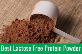 Best Lactose Free Protein Powder In 2019 2020 Reviews Ratings