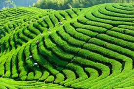Maybe you would like to learn more about one of these? Reisen Nach Taiwan Entdecken Sie Taiwan Mit Easyvoyage