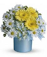 We did not find results for: Flowers To East Cooper Medical Center Mt Pleasant South Carolina Sc Same Day Delivery By A Local Florist In Mt Pleasant